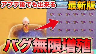 【ダイパリメイク】最新版！誰よりも分かりやすい最強なみのり増殖バグを徹底解説！ 【ブリリアントダイヤモンド・シャイニングパール】