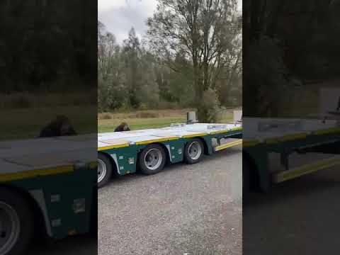 Video bij:Aksoylu aanhangwagen voor Postma Grijpskerk