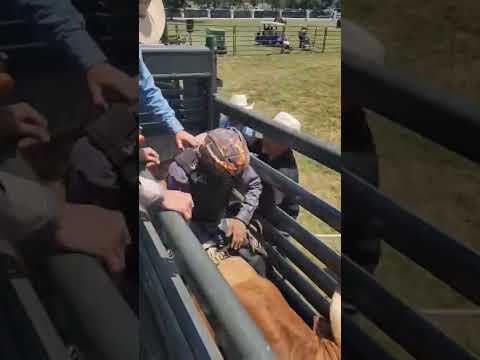 Got on baby face #rodeo #bull #bullriding #blessed #pbr