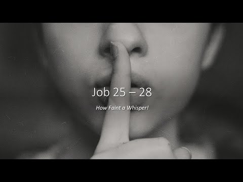 2/28/2021 | JOB 25–28  --  How Faint a Whisper!