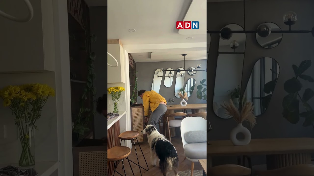 Miniatura HD: Terremoto de magnitud 7,4 sacude Colombia