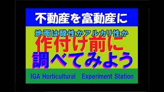 ネットで土地を買ってみた　不動産を富動産に⑨　土壌のｐHを測ってみたよの巻