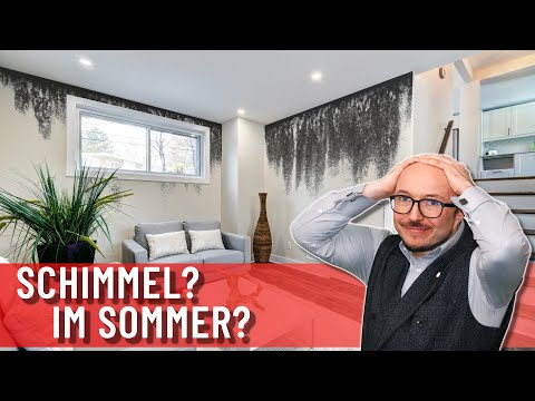 Schimmel im Sommer | Wie sie lüften müssen | Energieberater erklärt