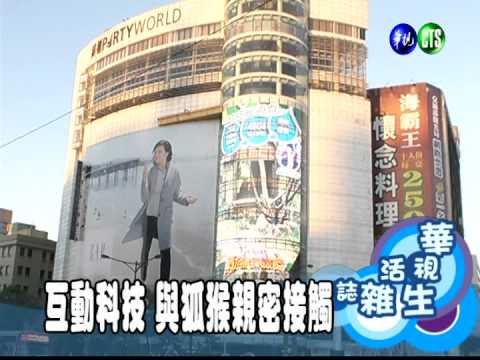 互動科技 與狐猴親密接觸