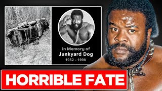 How Junkyard Dog's HAPPIEST DAY Turned Into TRAGEDY | Tragic True-Life Story