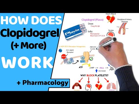 Clopidogrel Bisulphate IP 75 Mg + Atorvastatin Calcium IP 20 Mg Ecopril-AT 20/75