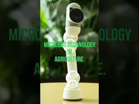 BERNARD CAMPBELL IPL Biological Dream