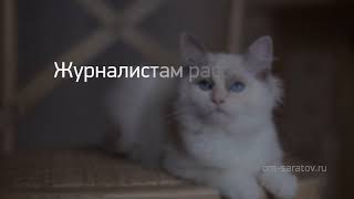 Новость дня: