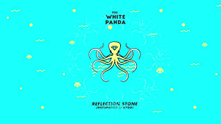 The White Panda - Reflection Stone (MisterWives // Kygo)