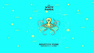 The White Panda - Reflection Stone (MisterWives // Kygo)