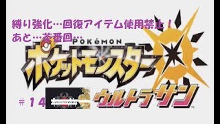 ＃１４　命それは最も大切なもの　ポケモン　ウルトラサン