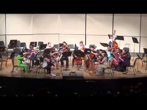 BVNW Chamber Orchestra - "Palladio" | Karl Jenkins
