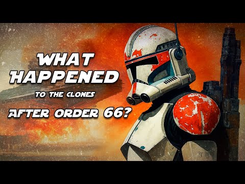 What Happened to the Clones After Order 66?