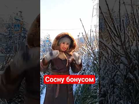 Новогодние ёлки с бонусом😅