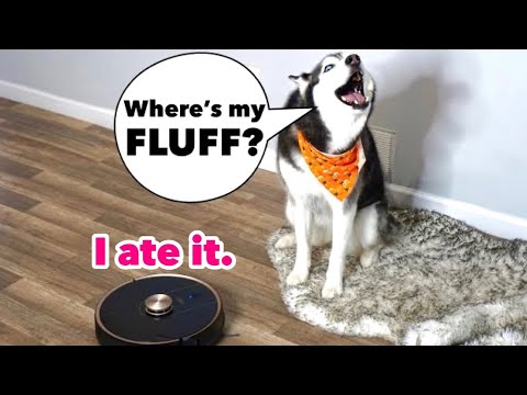 Meeka Reacts To A Talking Robotic Vacuum! (SHE ARGUES!)