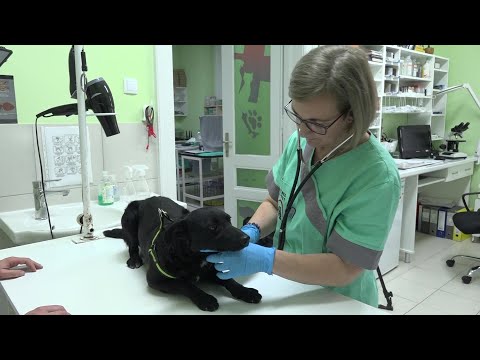 Szubjektív – Dr. Tóth Sóti Zsuzsanna