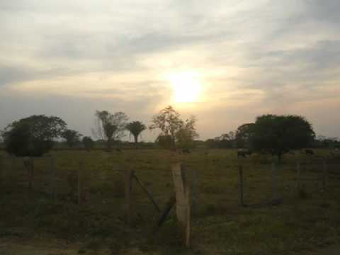 CABALGANDO EN LA PRADERA.wmv