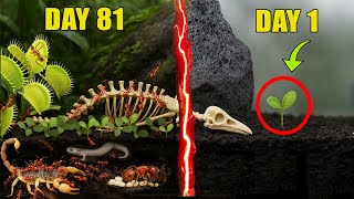 Download lagu Simulating a Jungle for 500 Days (Predators and 1,000 Ants) mp3 Download lagu Simulating a Jungle for 500 Days (Predators and 1,000 Ants) mp3