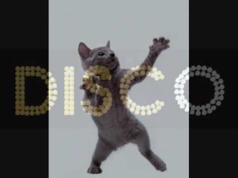 House Of Glass Feat. Giorgio Giordano  - Disco Down 2008 Remixes Part 2 (Samuele Sartini Club Mix)