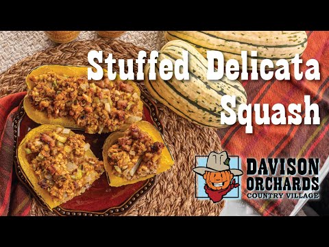Stuffed Delicata Squash