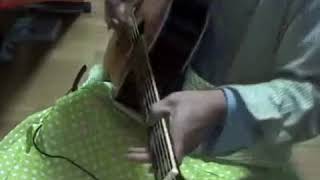 Eleven small roaches -Michael hedges