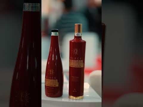 Gallerie Vidéos : 2025