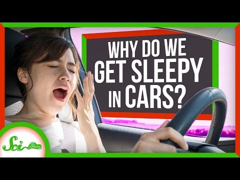カルコレプシー。なぜ私たちは車の中で眠くなるのか？ (Carcolepsy: Why Do We Get Sleepy in Cars?)