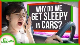 Carcolepsy: Why Do We Get Sleepy in Cars?
