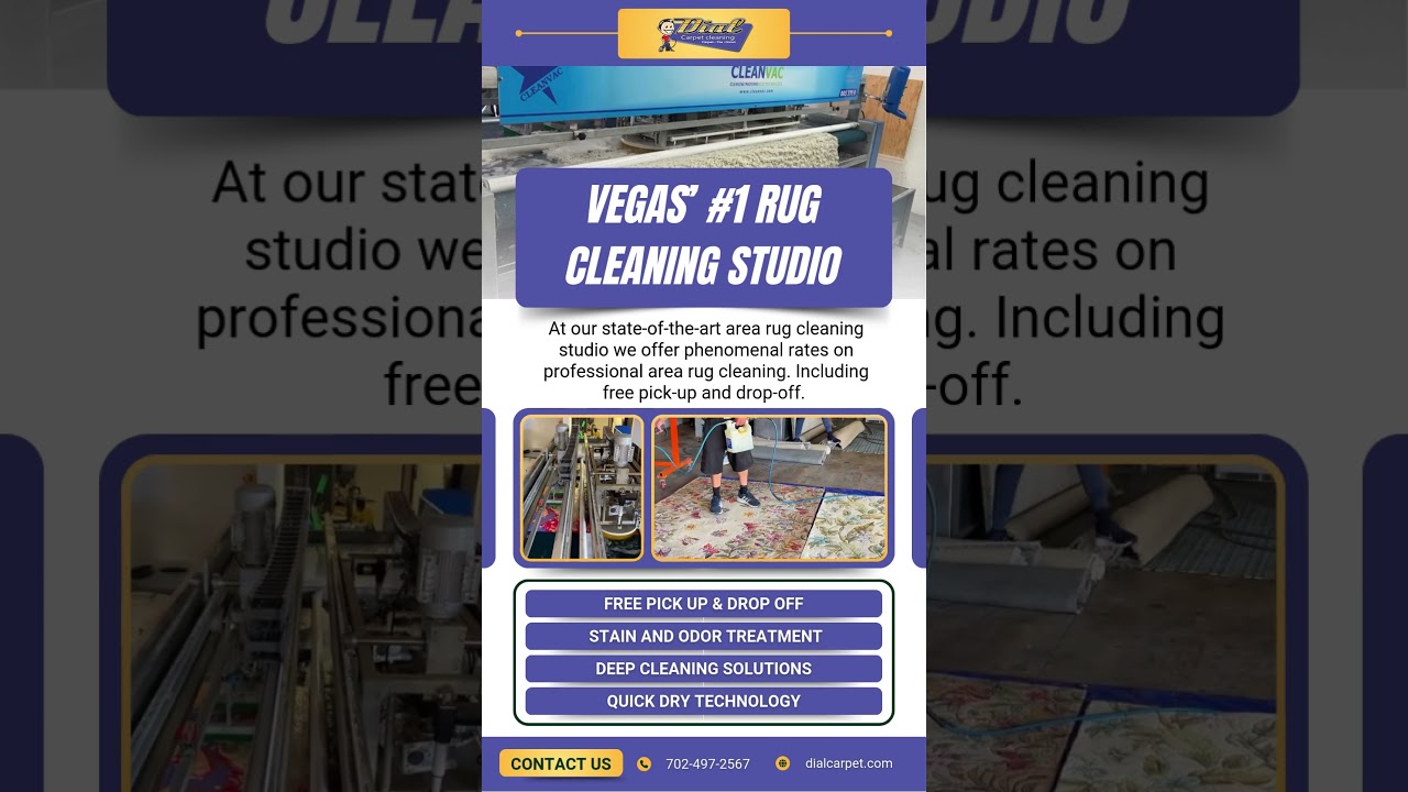 Vegas' #1 Rug Cleaning Studio #lasvegas #cleaning #tutorial