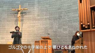 Download lagu 典礼聖歌388番　ガリラヤの風かおる丘で mp3