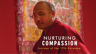 &quot;Nurturing Compassion&quot; Trailer | Name-Your-Price FILM DOWNLOAD below...