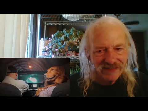 Nahko and Medicine For The People  OK  REACTION