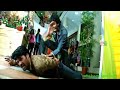 Bujjigadu Dialogue