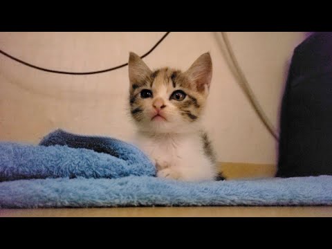 사람이 좋은가 보다.