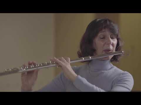 Querflöte "Pastorale" - Jules Auguste Demersseman (D2)