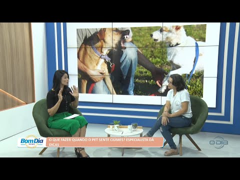 O que fazer quando o pet sente ciúmes? Especialista dá dicas 22 08 2022