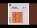 Schubert: Adagio in E flat major, D.897 "Notturno"