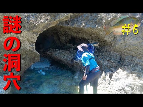 【＃６】謎の洞穴に潜入したら、巨大◯◯を発見！【“伝説の高級魚の魚拓“を狙え！】