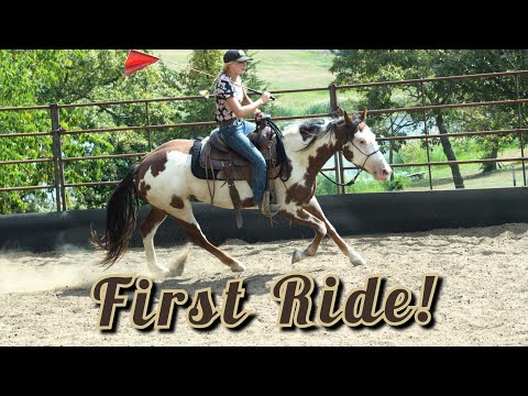 First Ride! Day 4 with a wild mustang | Mustang Magic 2024