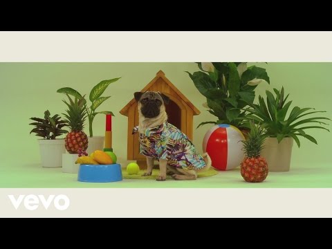 Yordano, Los Amigos Invisibles - Otra Cara Bonita (Official Lyric Video)