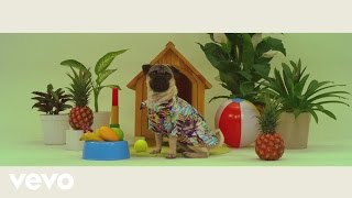 Yordano, Los Amigos Invisibles - Otra Cara Bonita (Official Lyric Video)