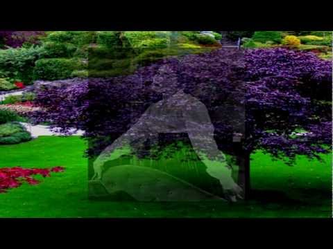 It Might As Well Be Spring video