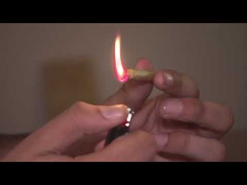 Marijuana Legalization