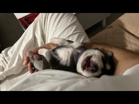 Eight days old, march 15, 2023