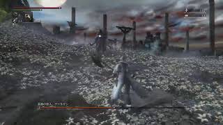 ブラッドボーン　ラスボス倒す配信