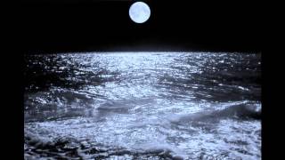 The Ocean - The Human Stain