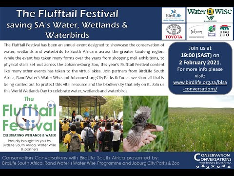 Conservation Conversations: The Flufftail Festival: saving SA's water, wetlands & waterbirds(2Feb21)