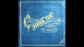 Radical Face -- Reminder (The Family Tree ; The Branches 2013)