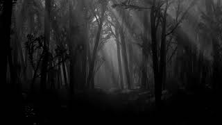 Soulfly - Rough *HQ*