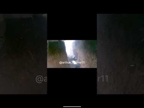 R Combat Footage